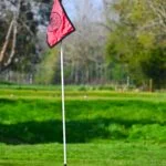 Fulwell Flag 150x150