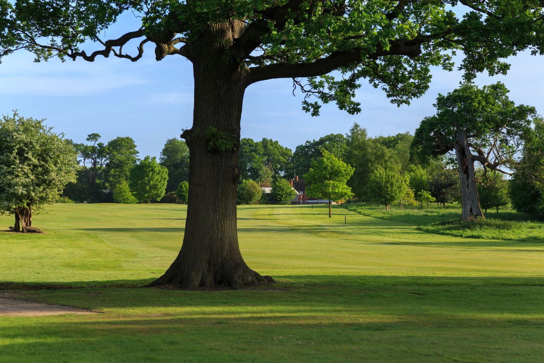Middlesex senior women vs berkshire